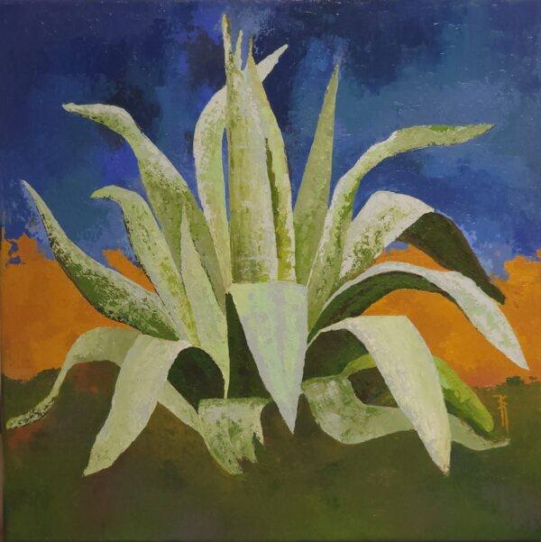 agave entier 2.site wp resized