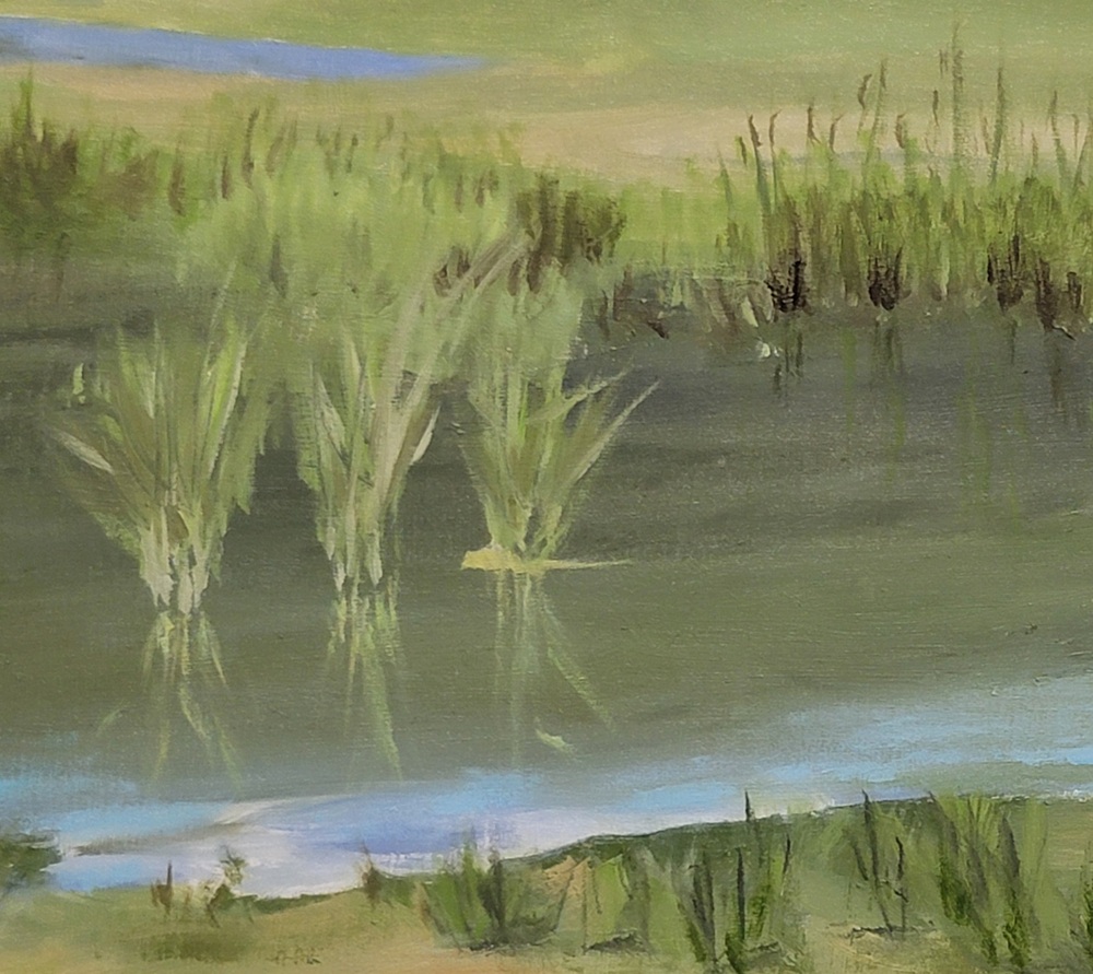 coucouron reflets herbes.resized coucouron reflets herbes.resized