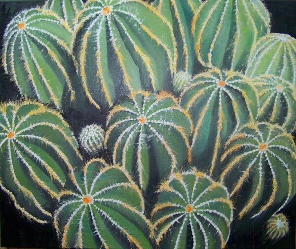 les cactus de lisilk 2,8mmarysecurinierrochette.site wp resized