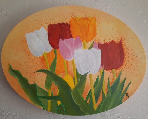 tulipes colorées entier
