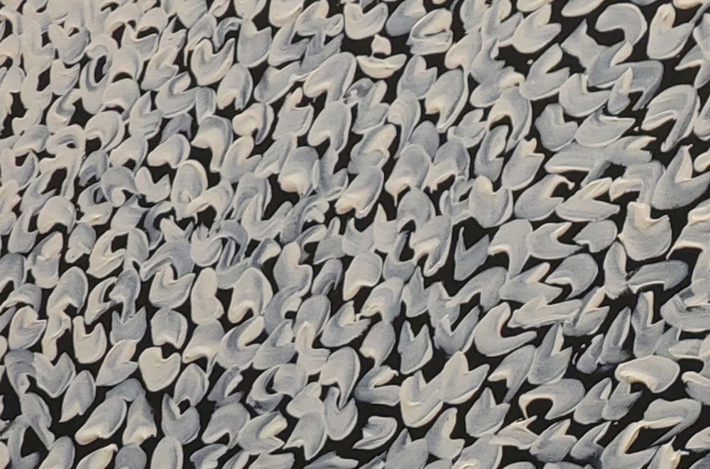 white dots détail3. site wp resized white dots détail3. site wp resized